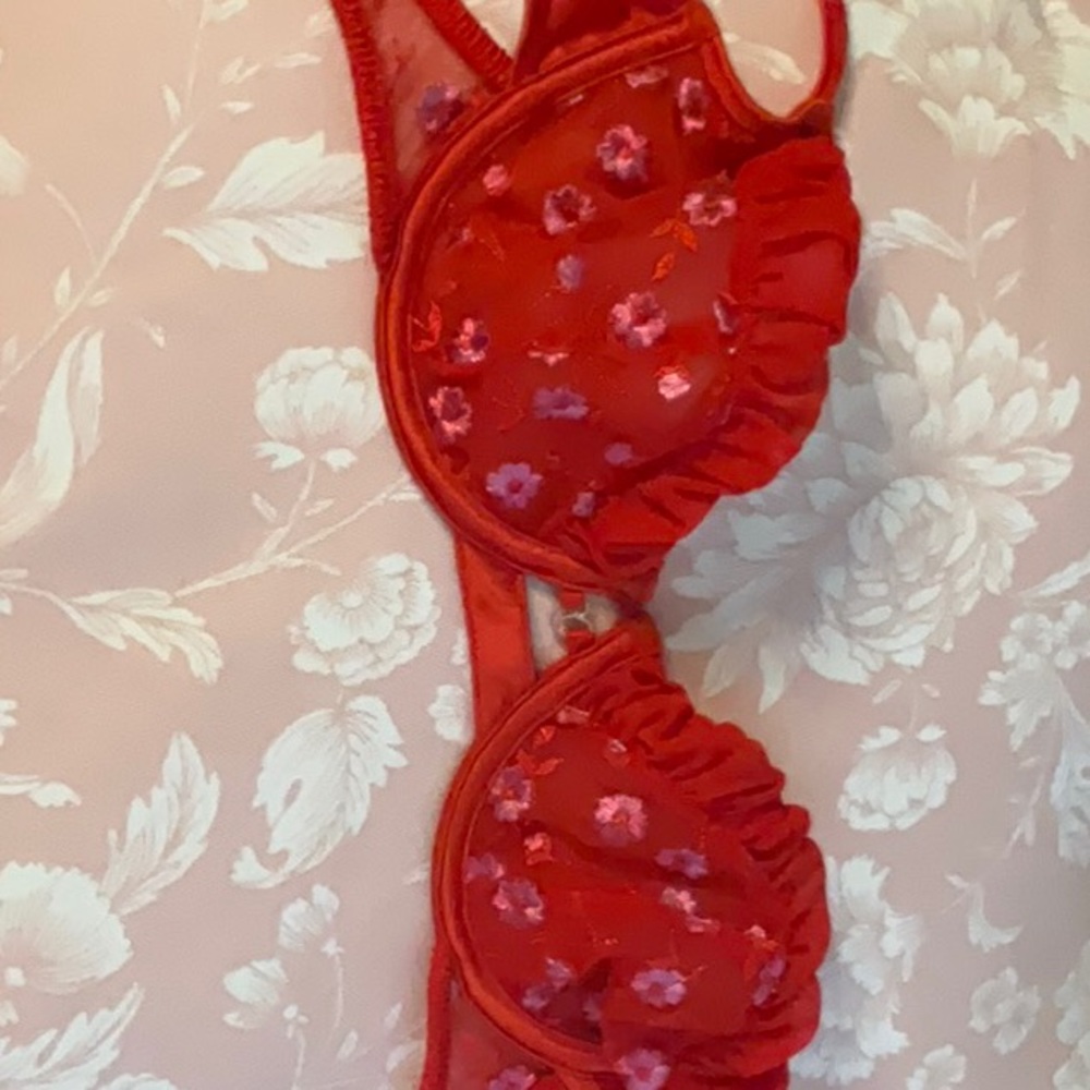 LOUNGE see through intimate bralette NWOT pink and red KATYA BRALETTE